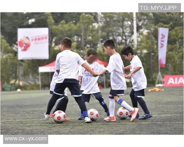 赵强独家分享篮球心得与技巧助你提升球技的全面指南